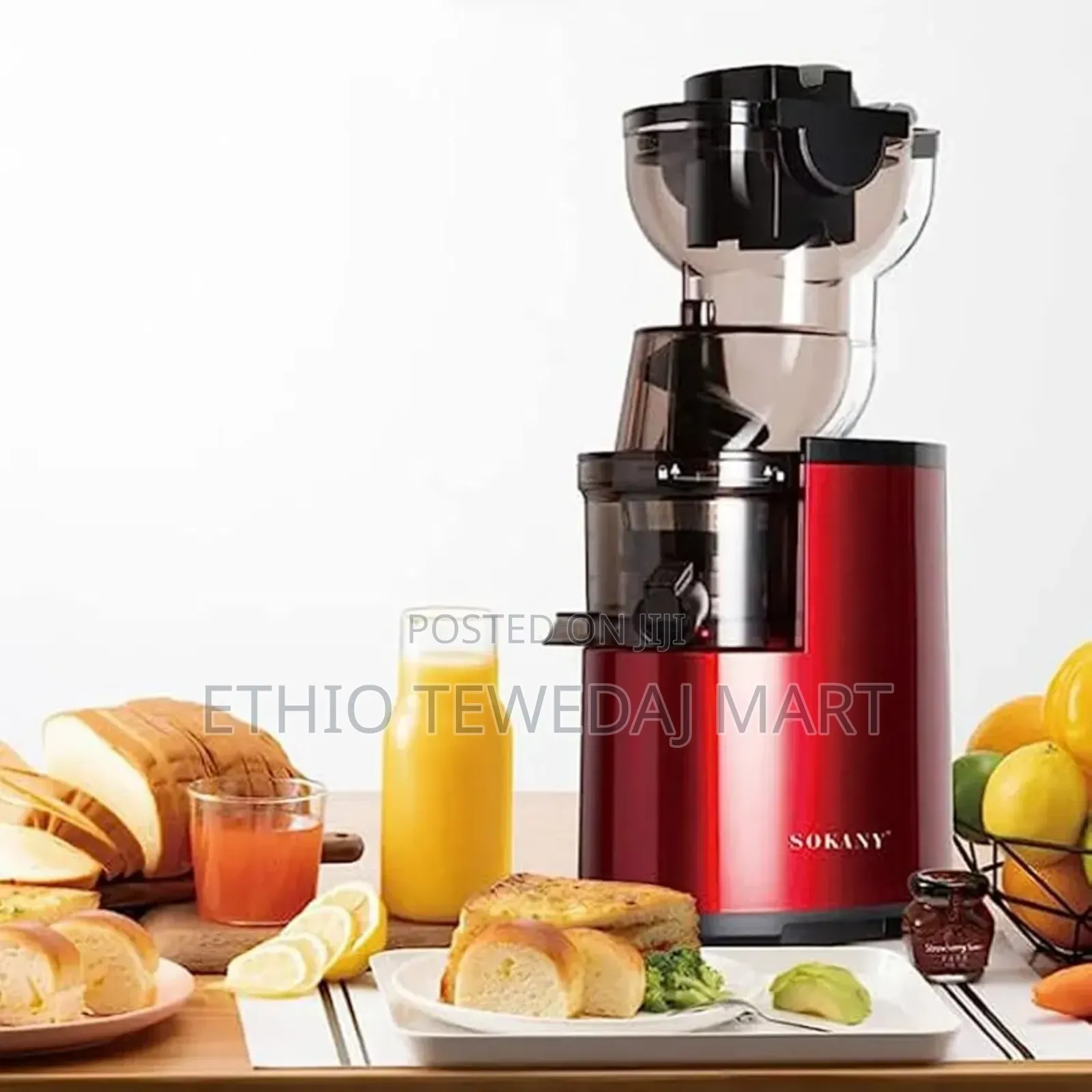 Sokany Masticating Extractor Juicer (Je-25)