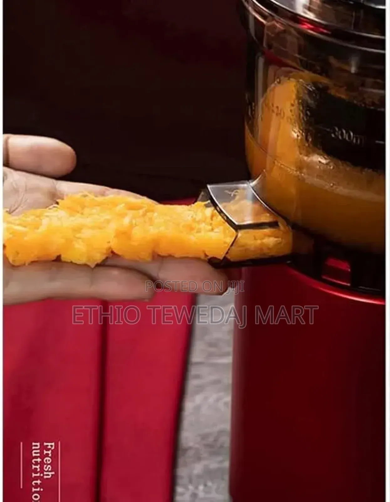 Sokany Masticating Extractor Juicer (Je-25)