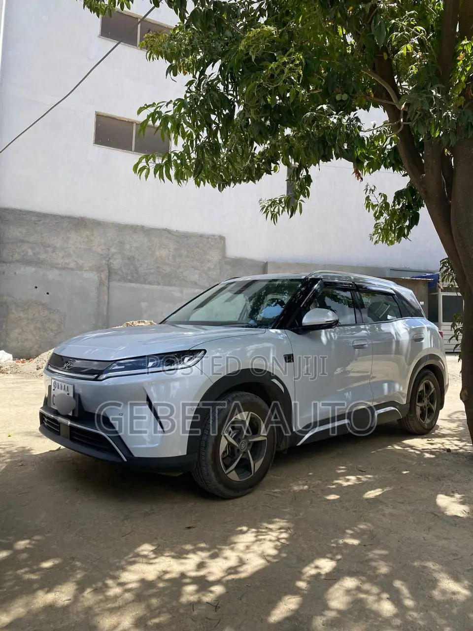 BYD Yuan Up 2025