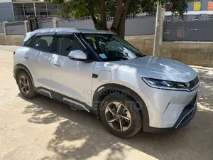 BYD Yuan Up 2025