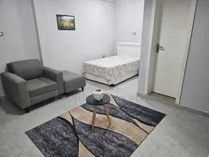 Furnished 1bdrm Apartment in Own, Arada for rent