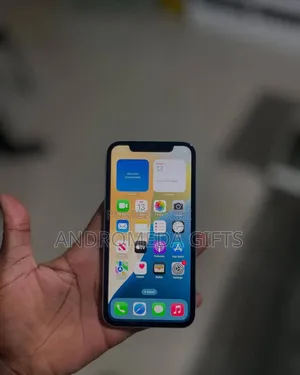 Apple iPhone XS 64 GB Gray