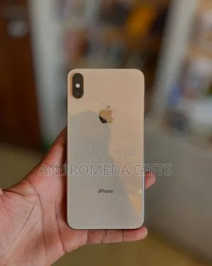 Apple iPhone XS 64 GB Gray