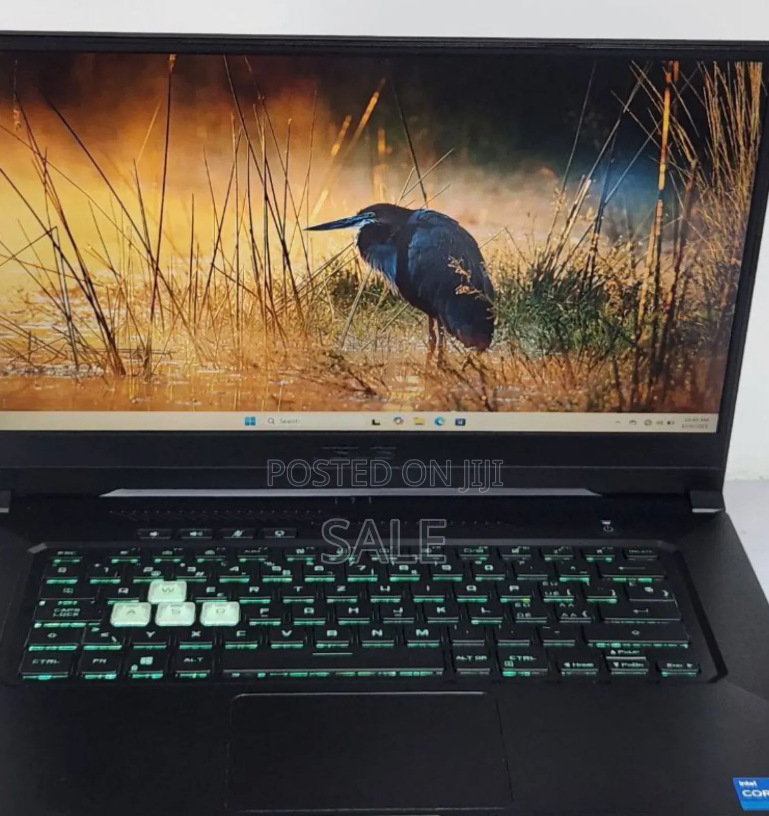 New Laptop Asus TUF Gaming A15 16GB Intel Core i5 SSD 512GB