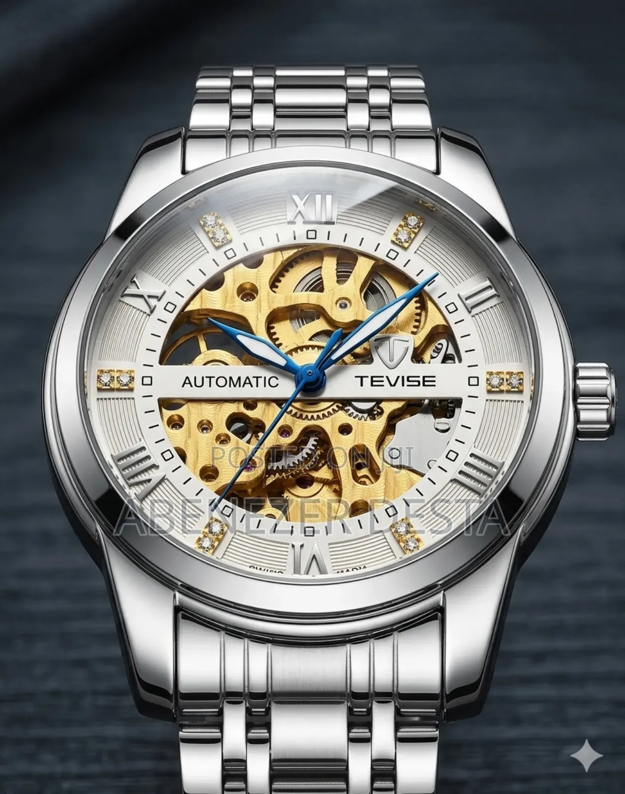 Tevise T9005a Automatic Mechanical Skeleton Wristwatch.