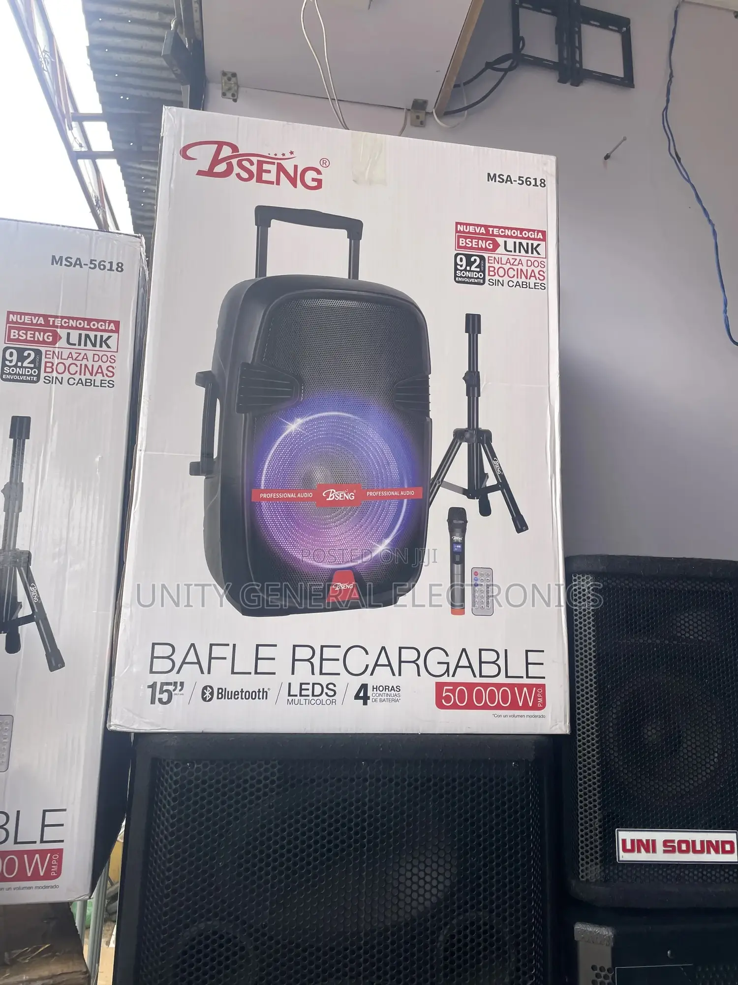 Bseng 15” Speaker