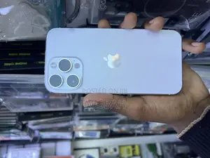Apple iPhone 14 Pro Max 256 GB Silver