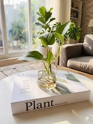 Pothos With Faux Plant Book