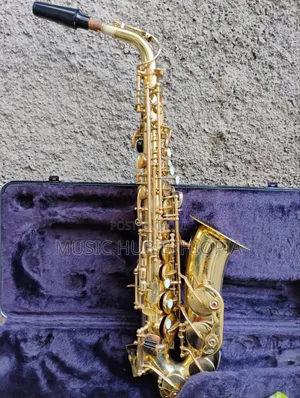 Sky Usa Alto Saxophone