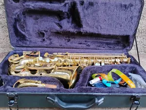 Sky Usa Alto Saxophone