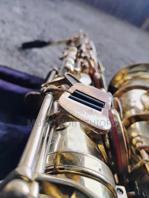 Sky Usa Alto Saxophone