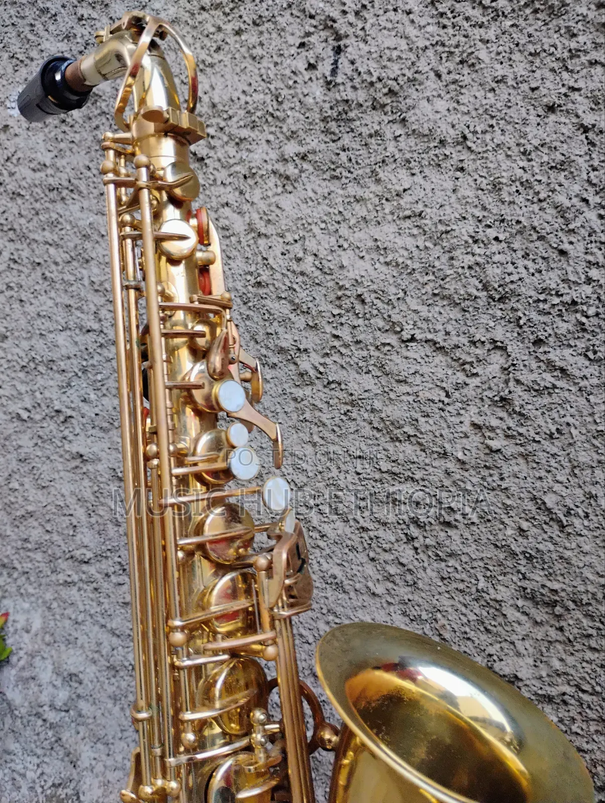 Sky Usa Alto Saxophone