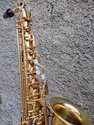 Sky Usa Alto Saxophone