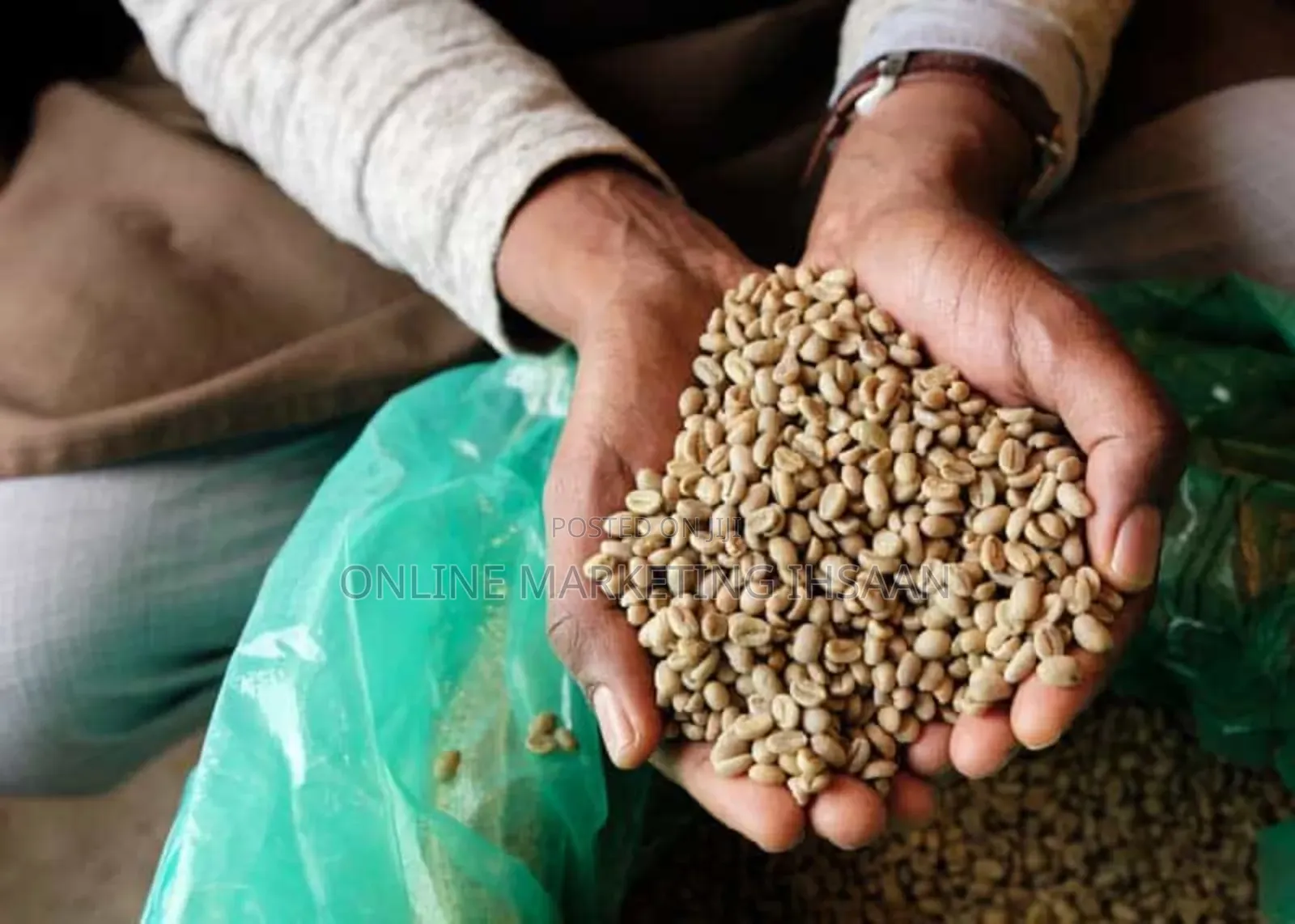 South West Region Forest Coffee