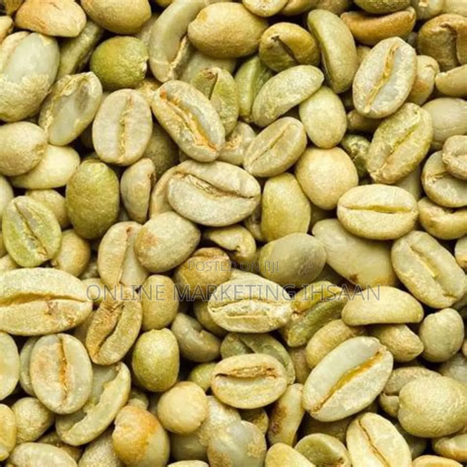 South West Region Forest Coffee