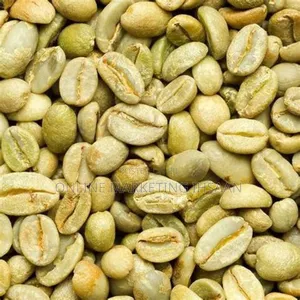 South West Region Forest Coffee