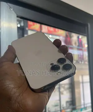New Apple iPhone 13 Pro Max 256 GB Gold