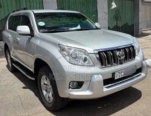 Toyota Land Cruiser 2013 Silver