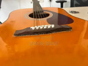 Acoustic Guitar