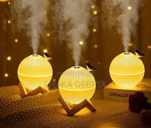 Lark 330ml Humidifier – Quiet Led Light – Free Delivery