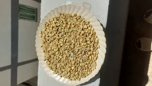 Yirgachefe Coffee Special Coffee
