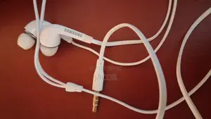 Samsung Earphone