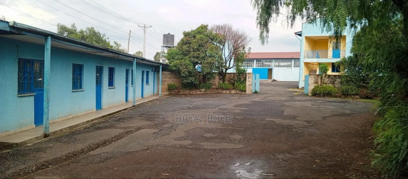 የሚሸጥም የሚከራይም መጋዝን ለፋብሪካ