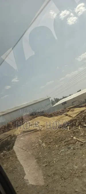 የሚሸጥ የቆርቆሮ መጋዝን ያለው ባዶ ቦታ