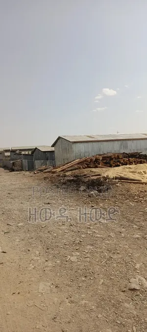 የሚሸጥ የቆርቆሮ መጋዝን ያለው ባዶ ቦታ