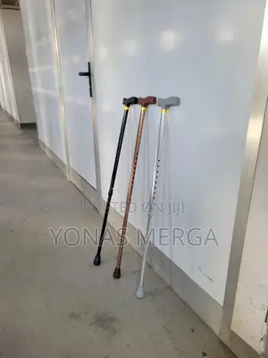 Walking Stick二粵benecane Is Crafted to Be Lightweight,