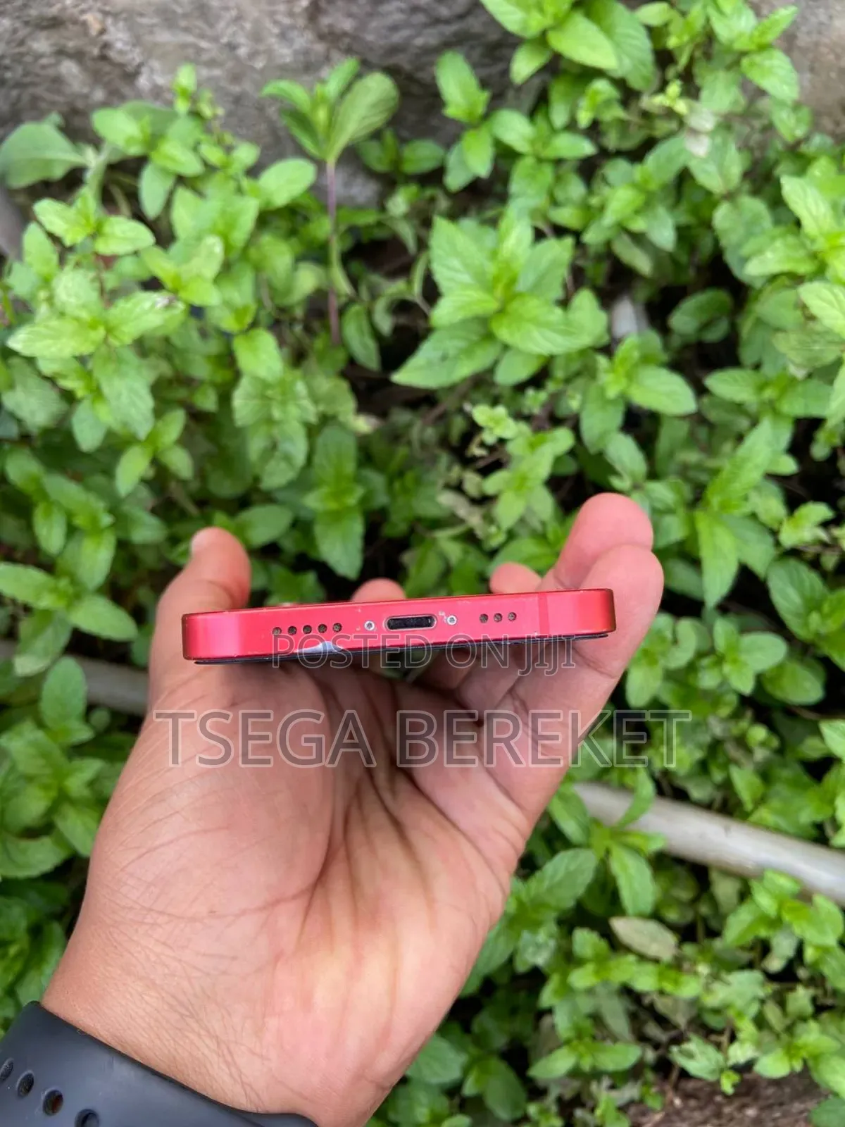 New Apple iPhone 12 256 GB Red