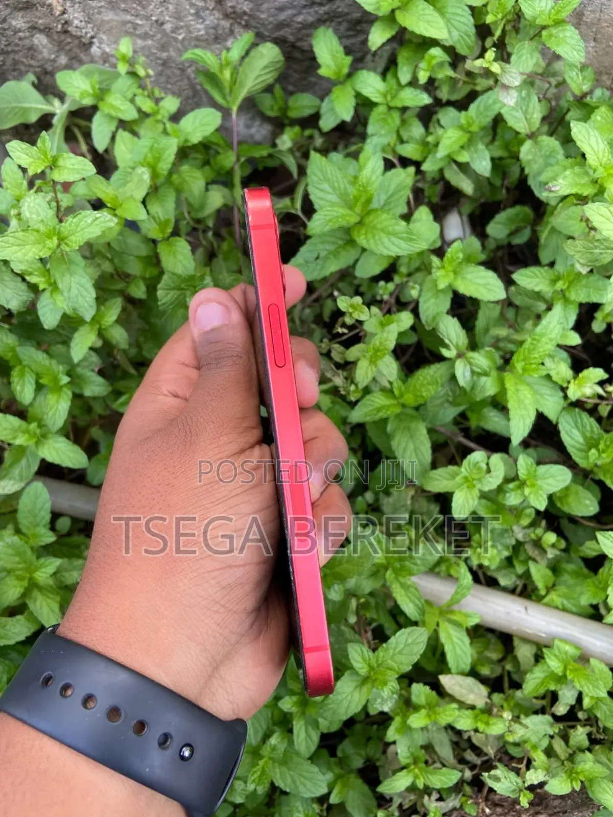 New Apple iPhone 12 256 GB Red