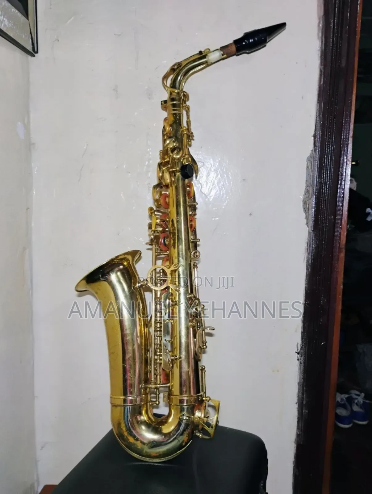 Sky Usa Alto Saxophone