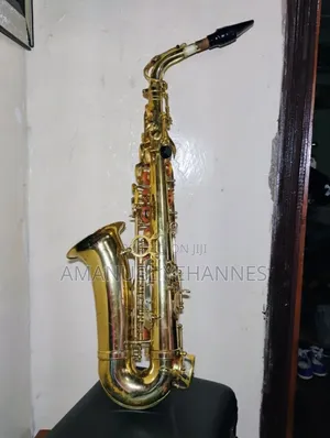 Sky Usa Alto Saxophone