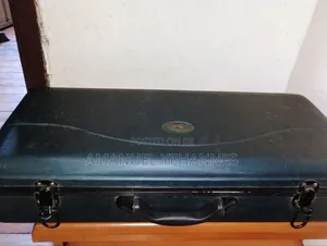 Sky Usa Alto Saxophone