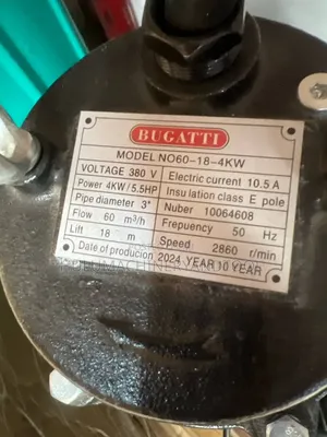 Bugatti Centrifugal Water Pump