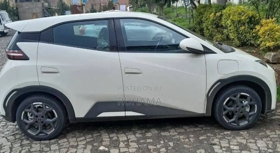 BYD Seagull 2024 White