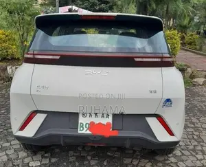 BYD Seagull 2024 White