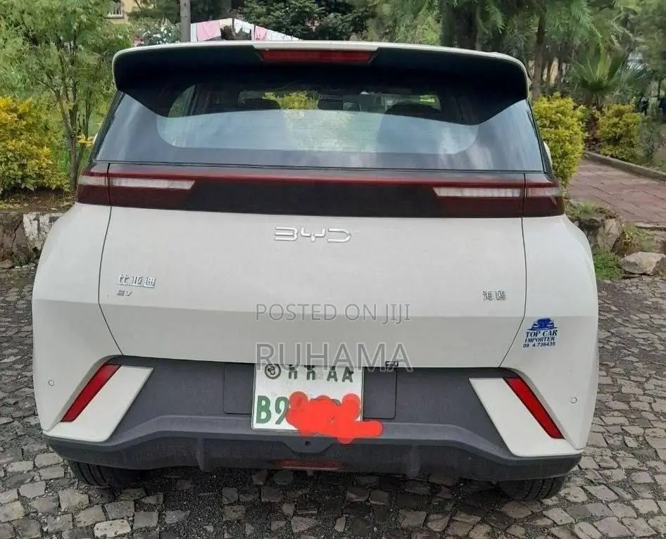 BYD Seagull 2024 White