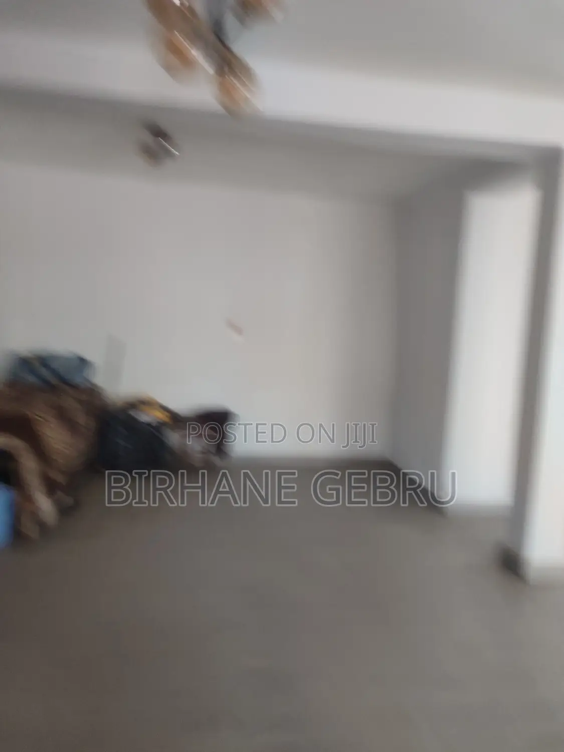 Villa House Rent for Resturant Berger Car Show Room and Other