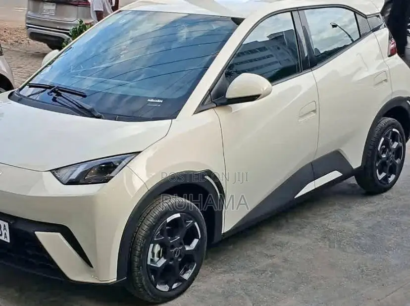 BYD Seagull 2024 White