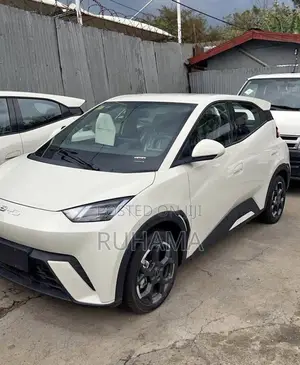 BYD Seagull 2024 White