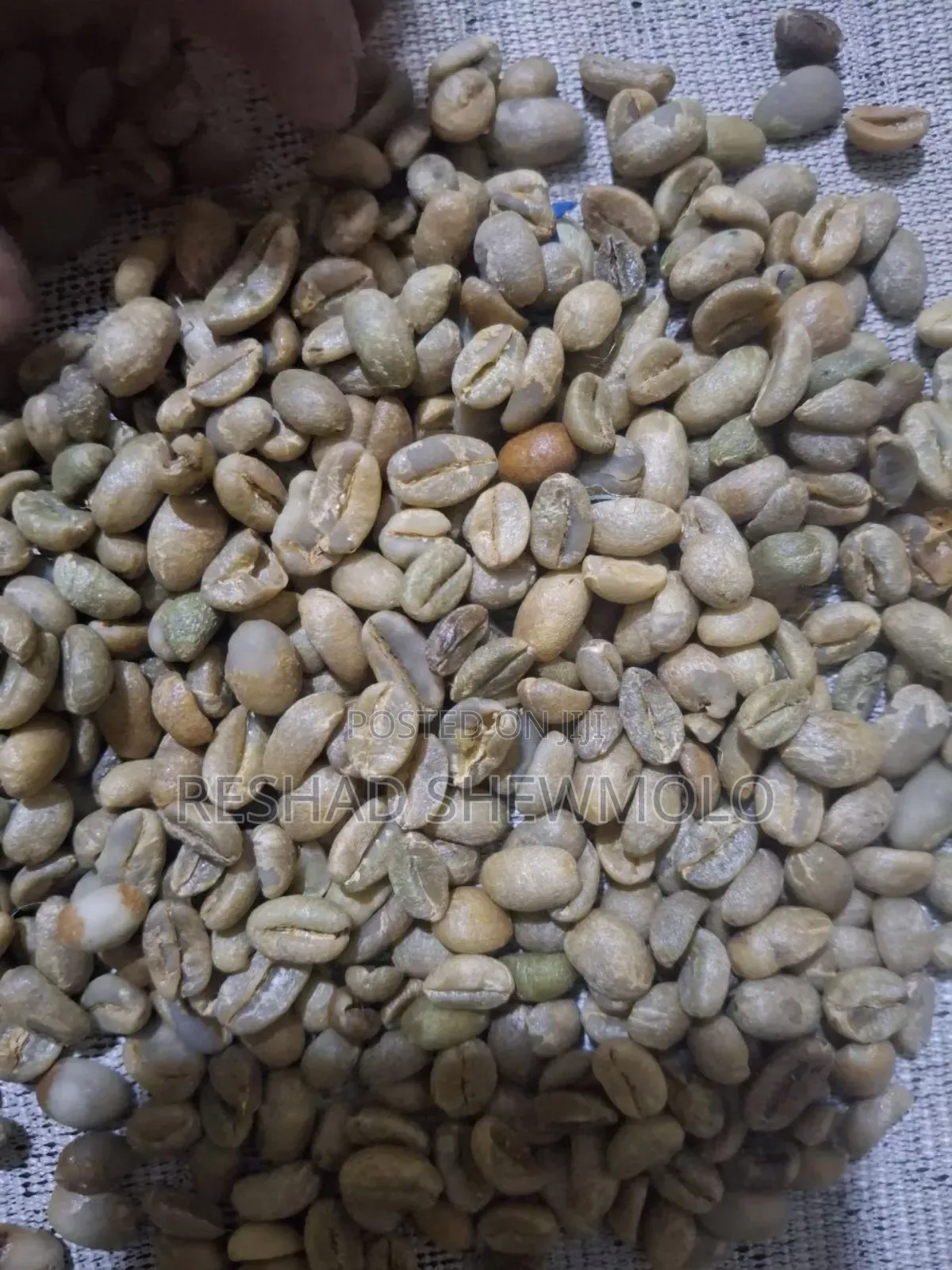Coffee ቡና በችርቻሮ እና በጅምላ