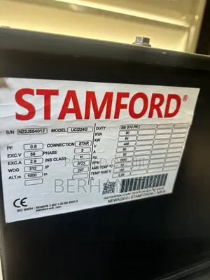 Stamford Generator