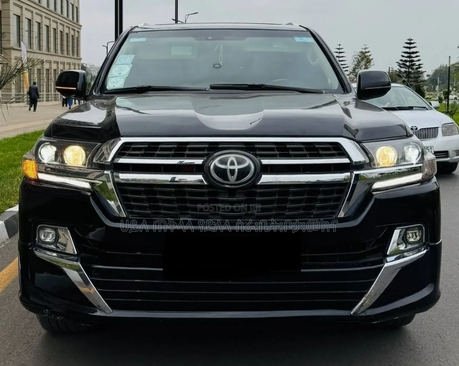 Toyota Land Cruiser 2010 Matt Black
