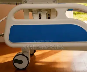 Bed Multifunction Function Patient Bed With Toilet And Wheelchair
