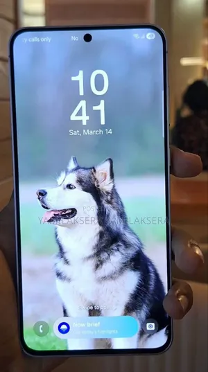New Samsung Galaxy S25 FE 5G 256 GB Silver