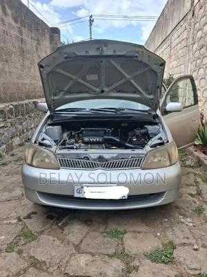 Toyota Platz 2001 Silver