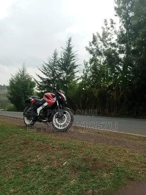 Bajaj Avenger 200 2013 Red