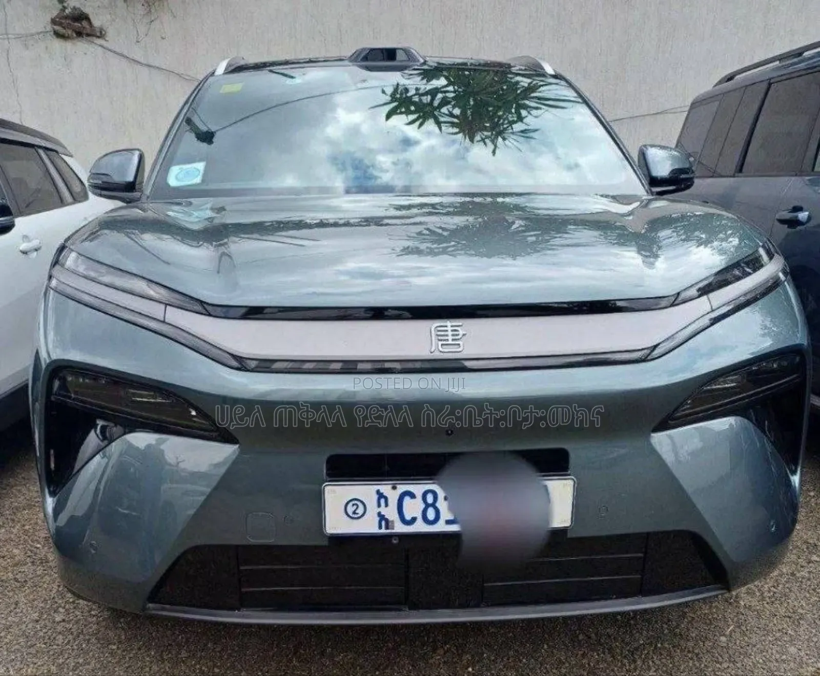 New BYD Tang DM-i 2025 Green
